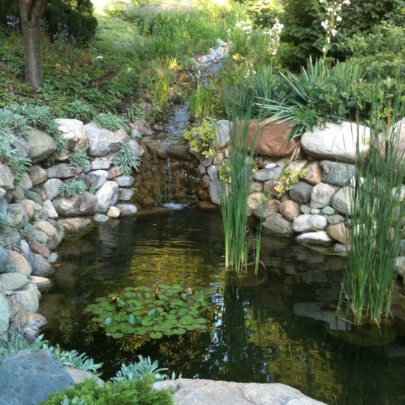 thriftynature
